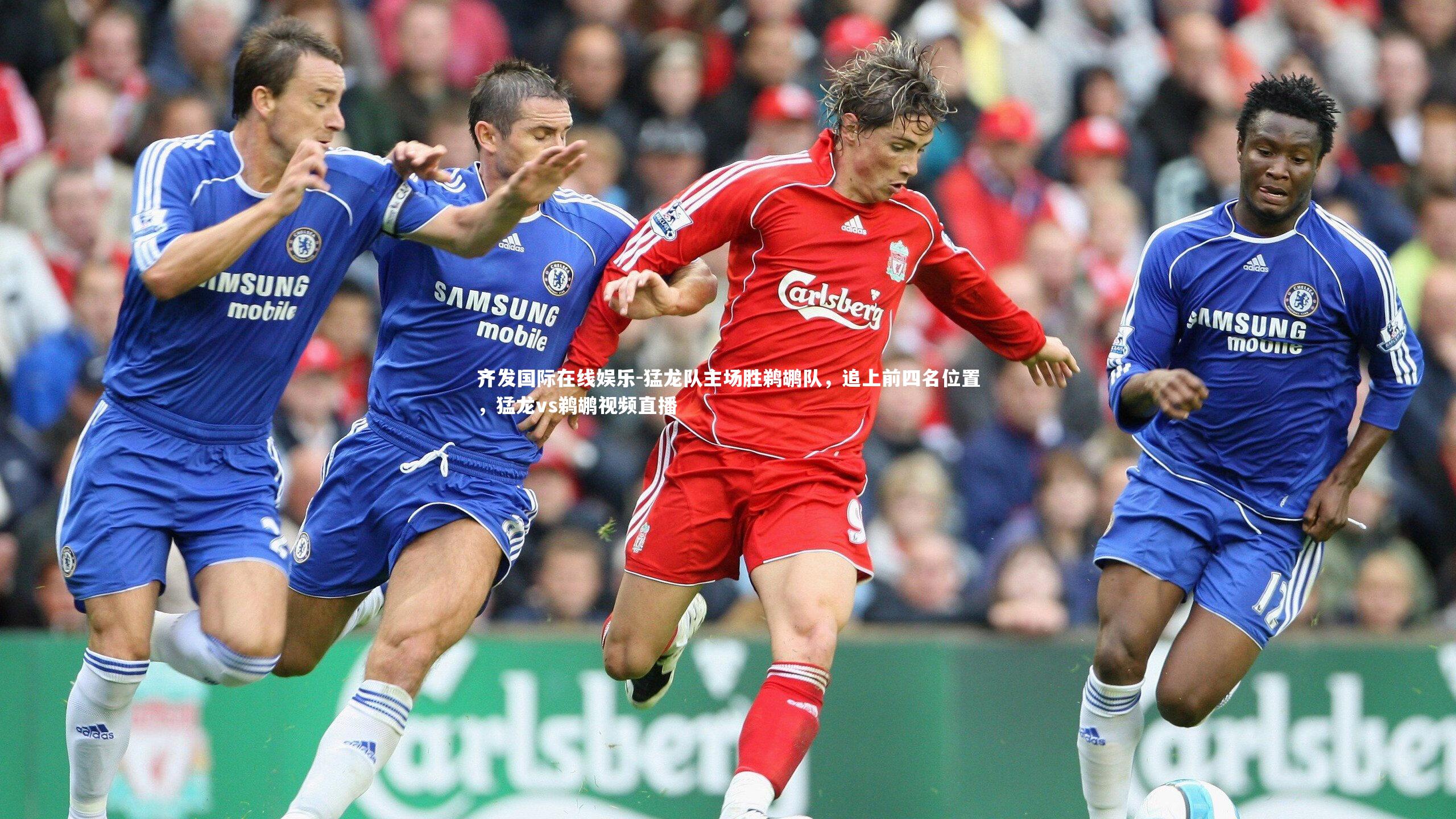 猛龙队主场胜鹈鹕队，追上前四名位置，猛龙vs鹈鹕视频直播